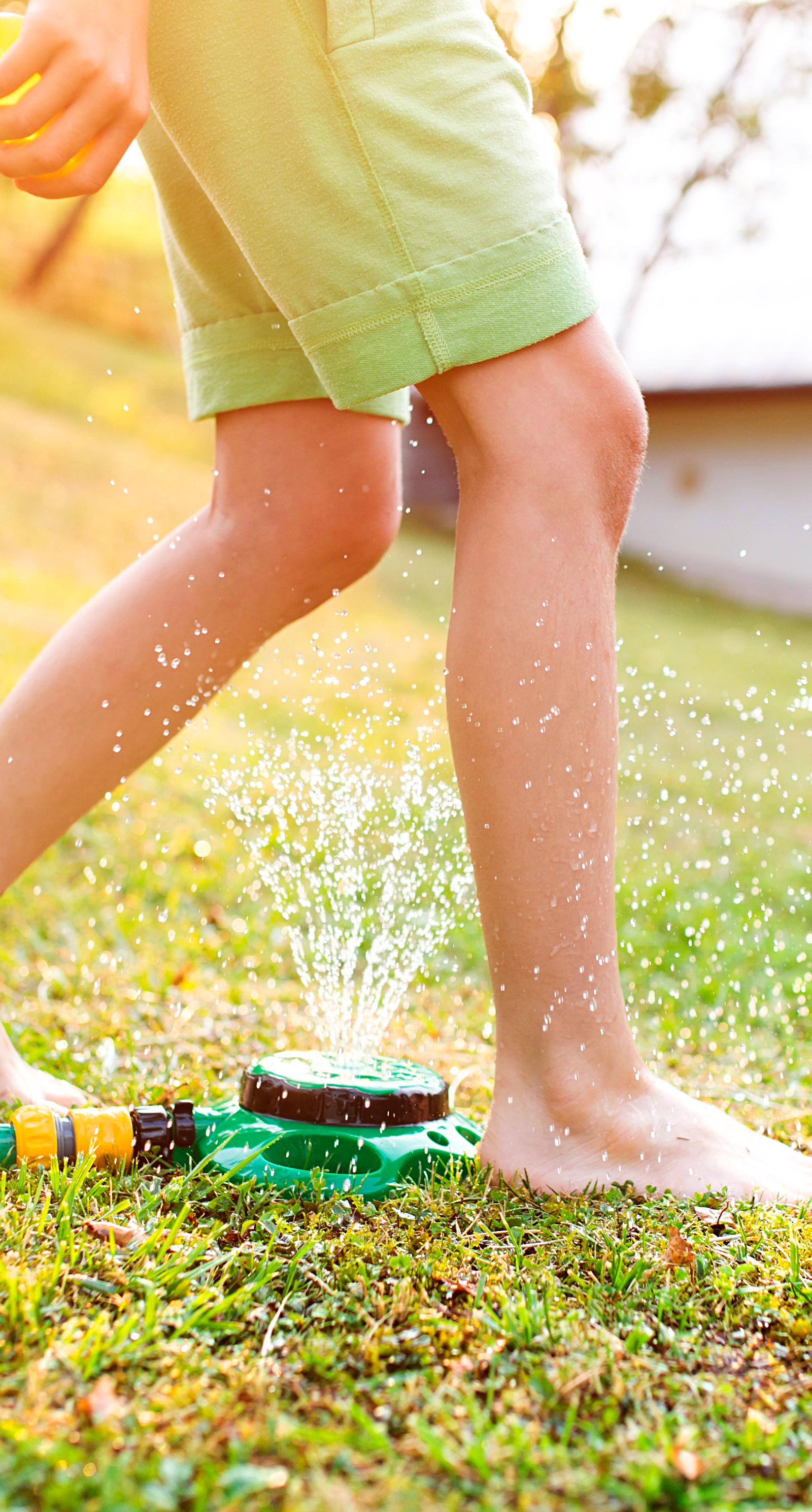 Dallas Gardeners Beat Summer Heat With 5 Proven Plant Care Strategies