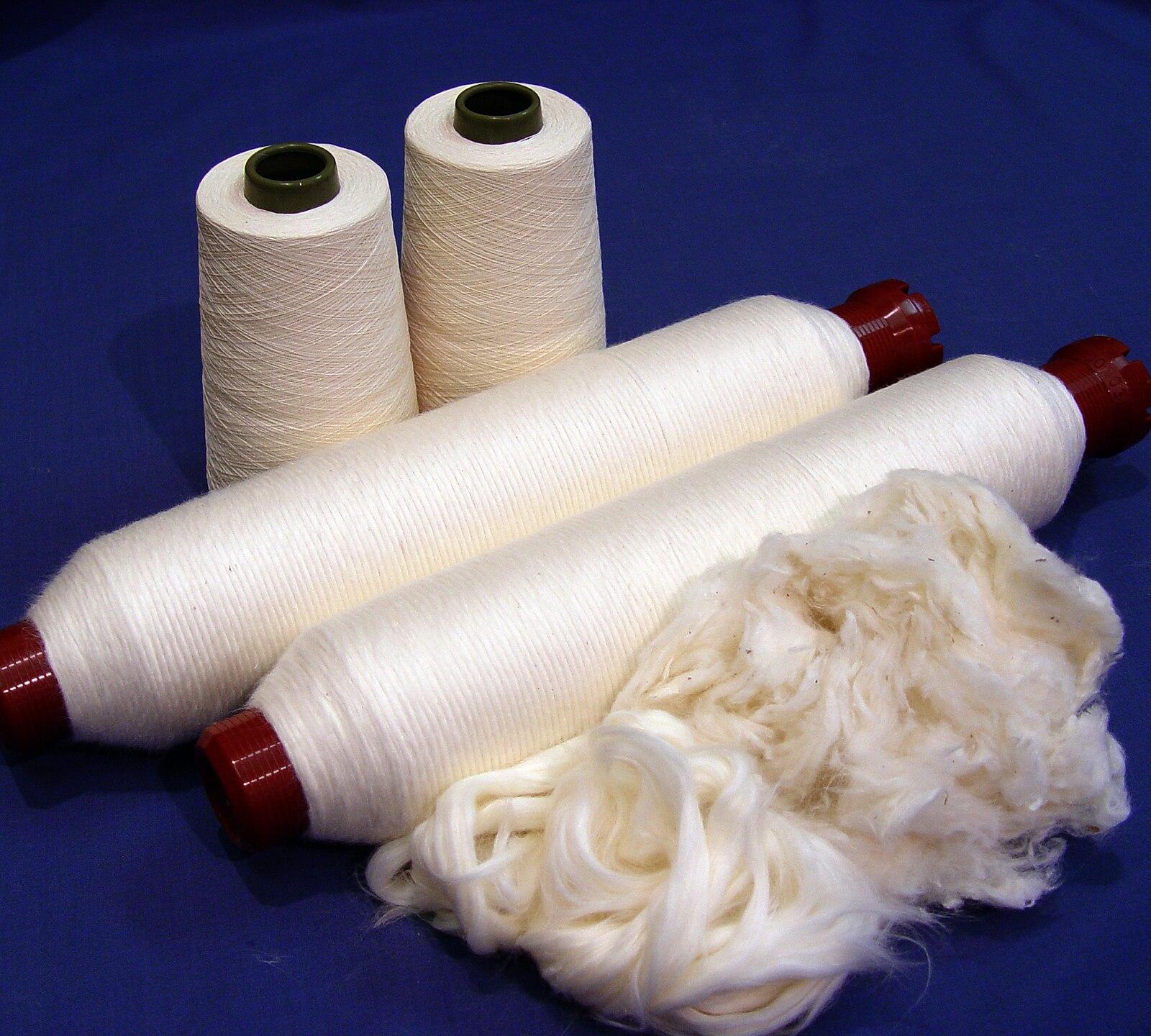 CSIRO ScienceImage 7826 Raw cotton
